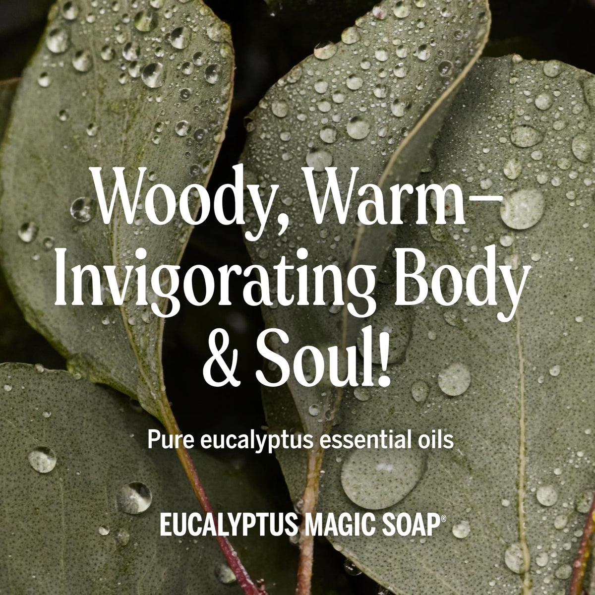 Dr. Bronner's 8 oz bottle next to a common water glass for size and scale reference