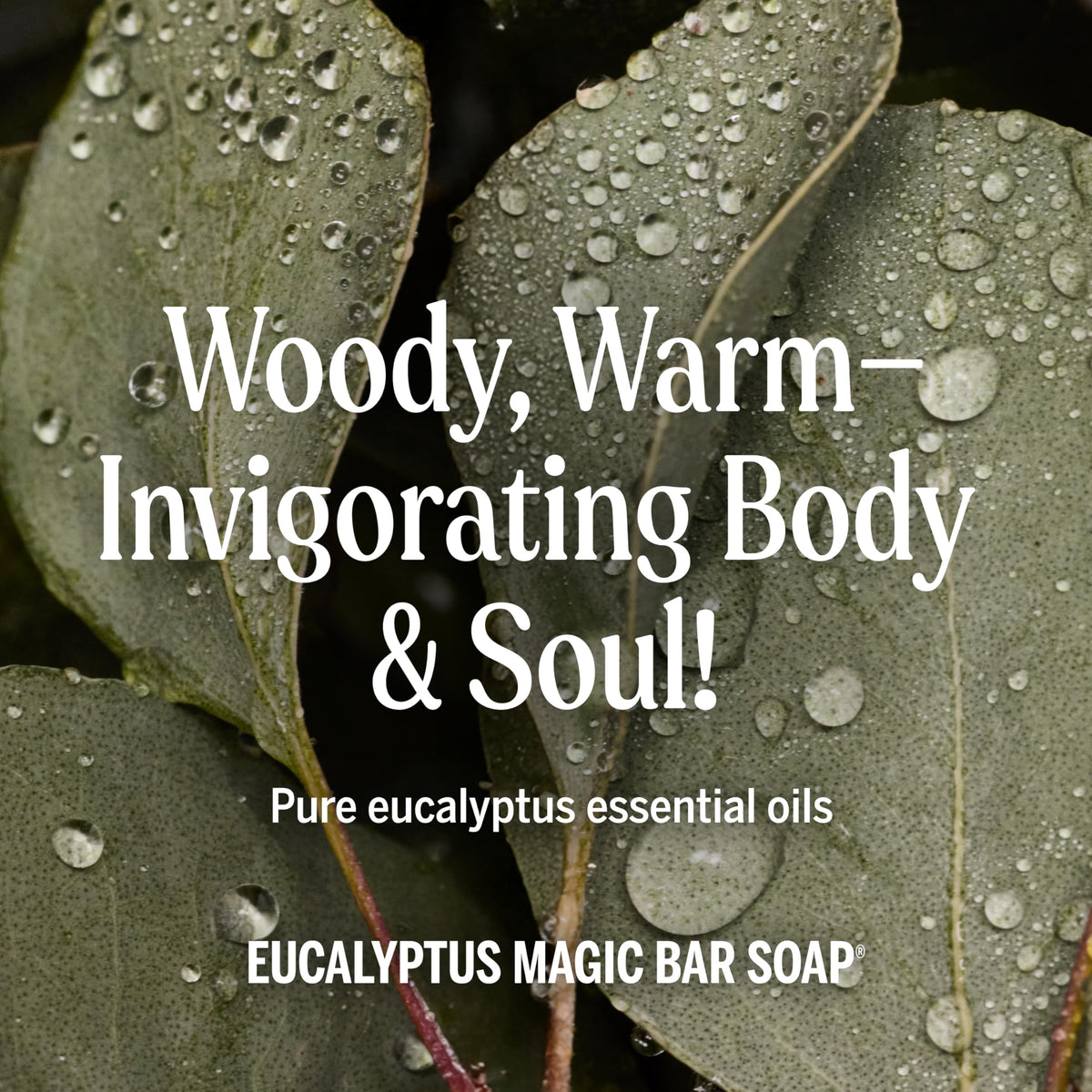 Dr. Bronner's eucalyptus used as shampoo in hair showing gentle suds and manageability