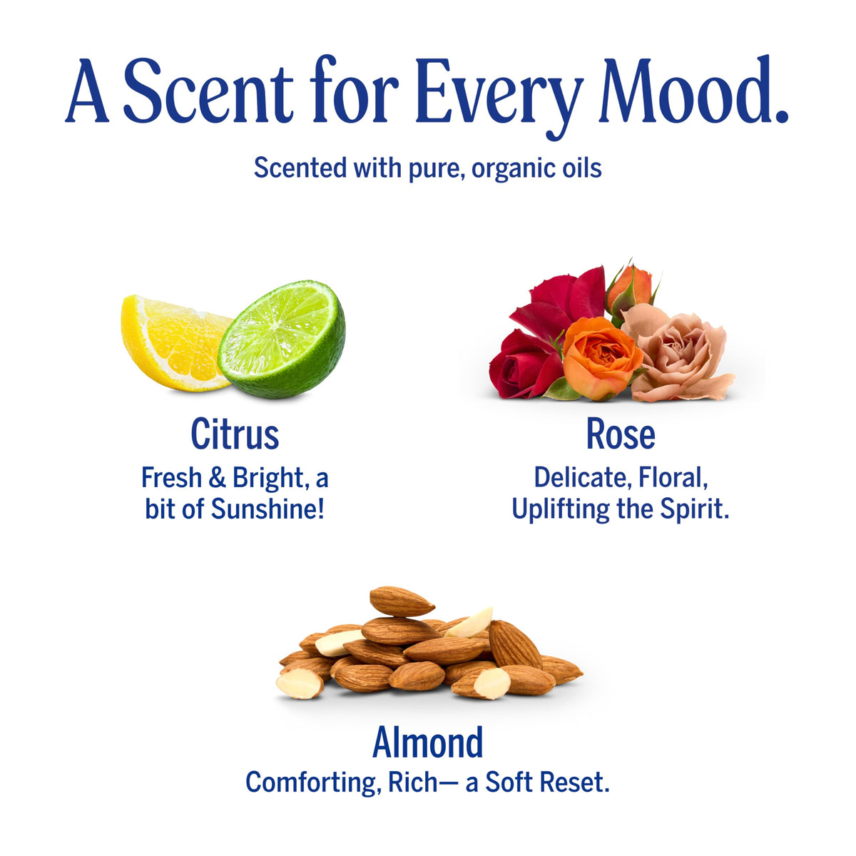 Dr. Bronner's ingredient label with Regenerative Organic Certified seal showing traceable ingredients