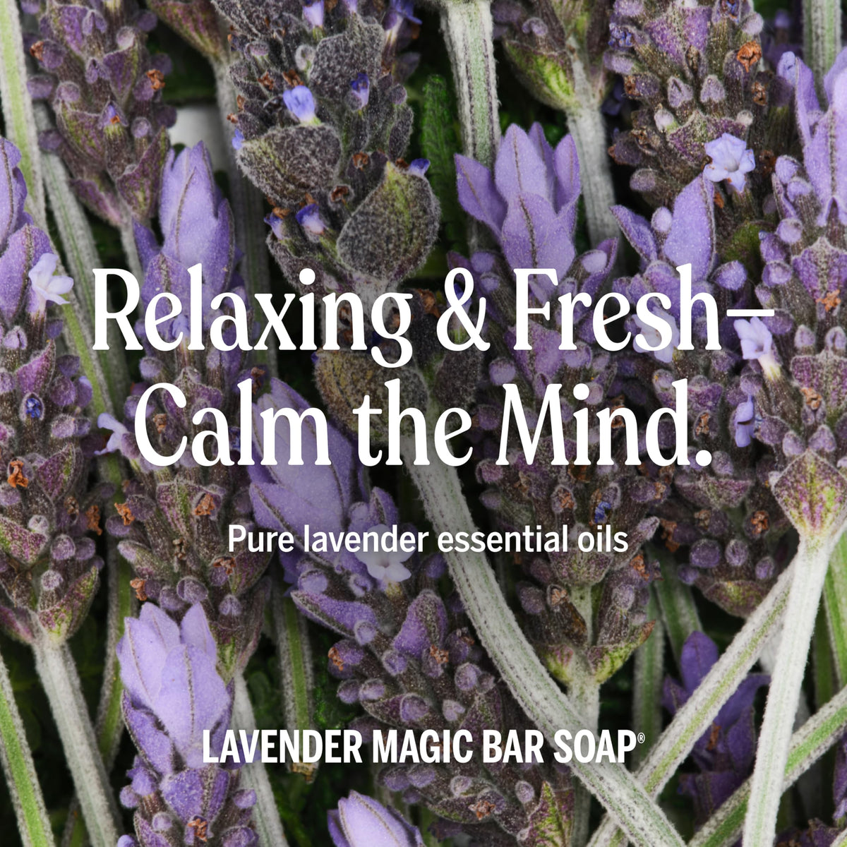 Dr. Bronner's lavender bars with organic oil ingredients display eco-friendly sourcing