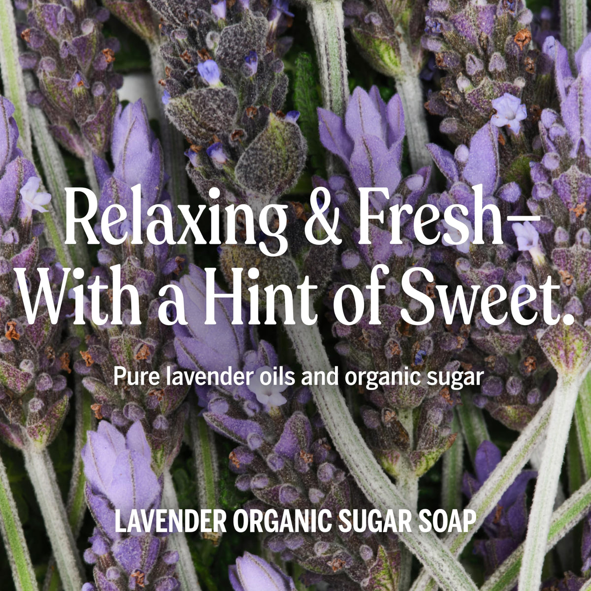 Array of organic oils used in Dr. Bronner's formula showing natural benefits