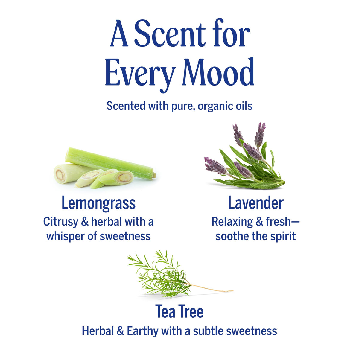 Dr. Bronner's close-up of organic sugar and shikakai ingredients for hydration