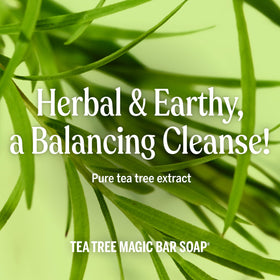 Dr. Bronner's tea tree bar used as shampoo in a shower for hair cleansing