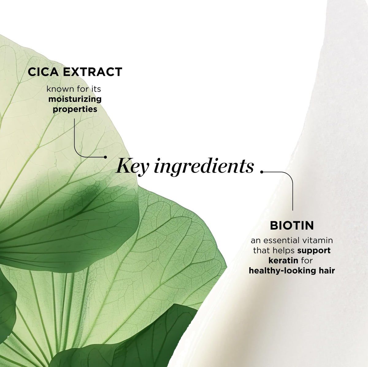 Dr. Groot ingredient label reading biotin, centella and prebiotics for transparency