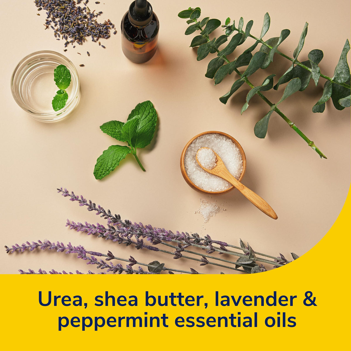 Dr. Scholl's ingredient illustration showing urea, hyaluronic acid and oils