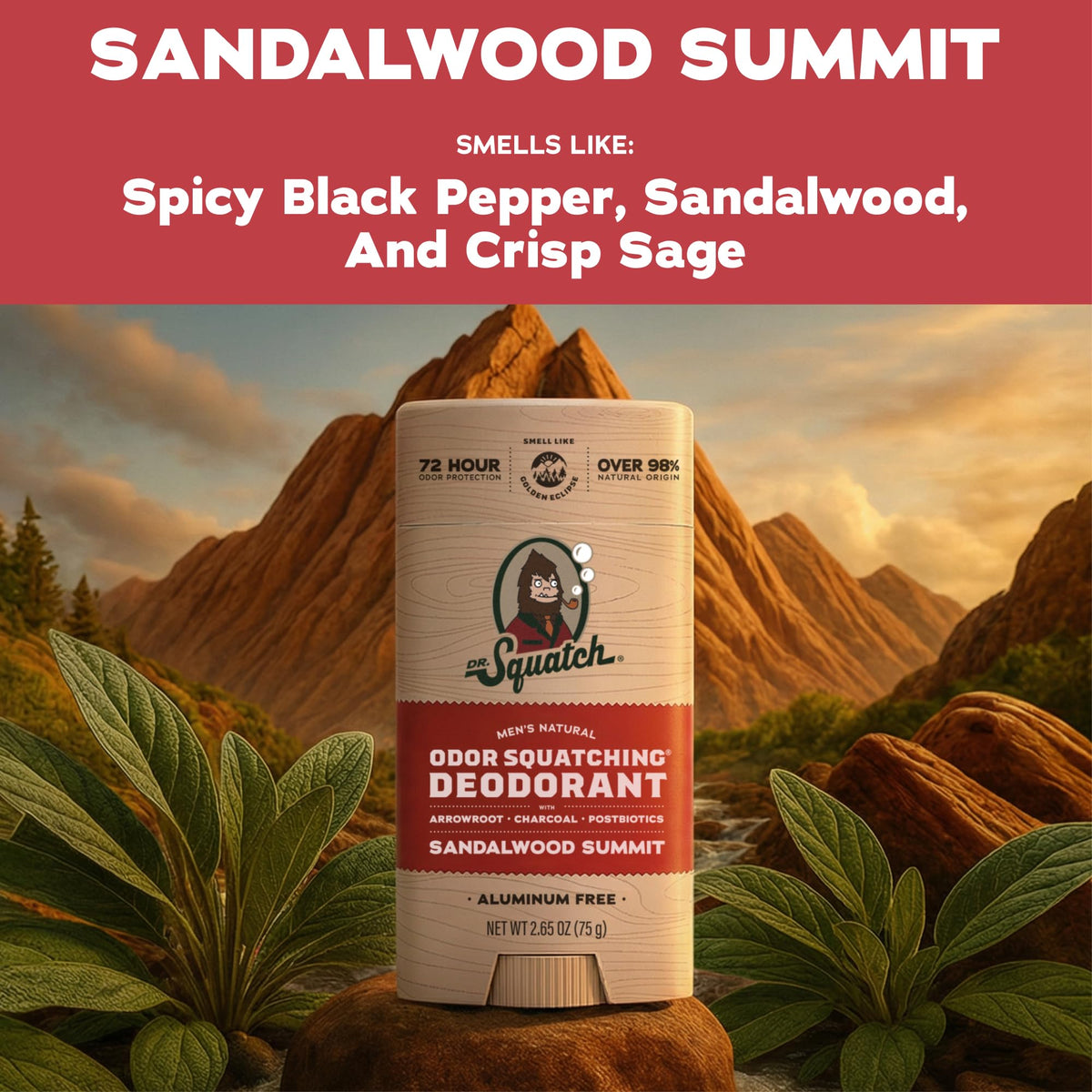 Dr. Squatch activated charcoal close-up highlighting odor-absorbing power
