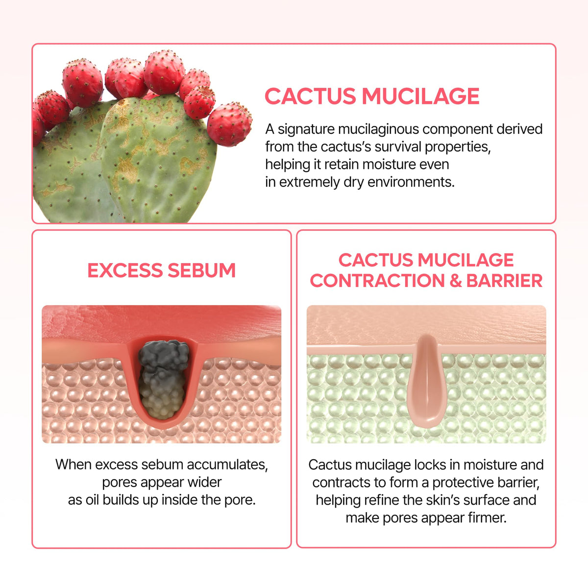 Dr.Melaxin application on T-zone demonstrates pore-targeted smoothing