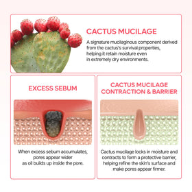 Dr.Melaxin application on T-zone demonstrates pore-targeted smoothing