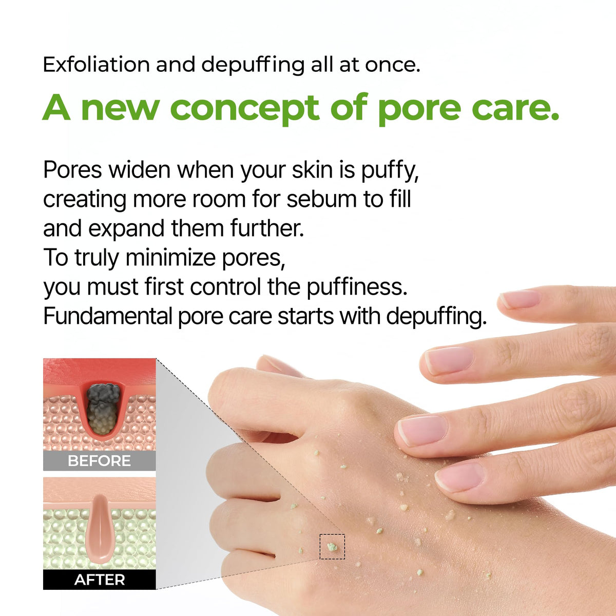 Dr.Melaxin cactus and rice ingredients arranged to highlight natural hydration benefits