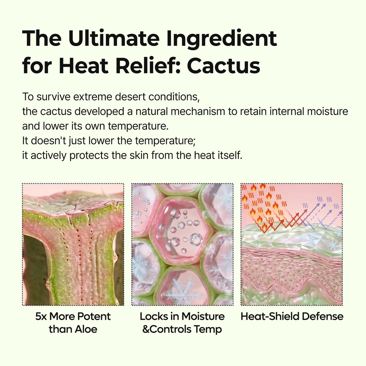 Dr.Melaxin ingredients label with zinc PCA and cactus extract benefits listed