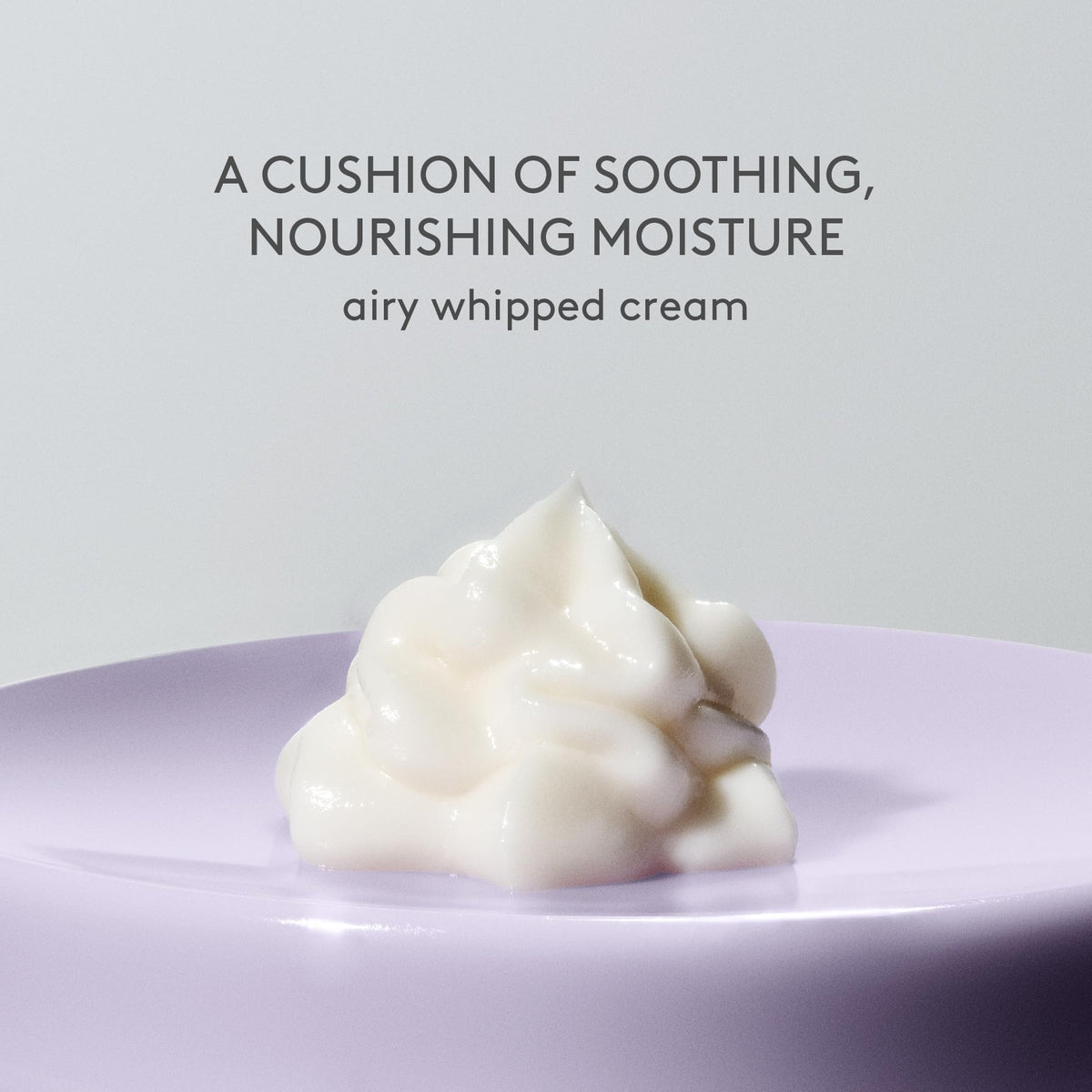 Drunk Elephant visual of ceramide blend graphic highlighting barrier-support benefits