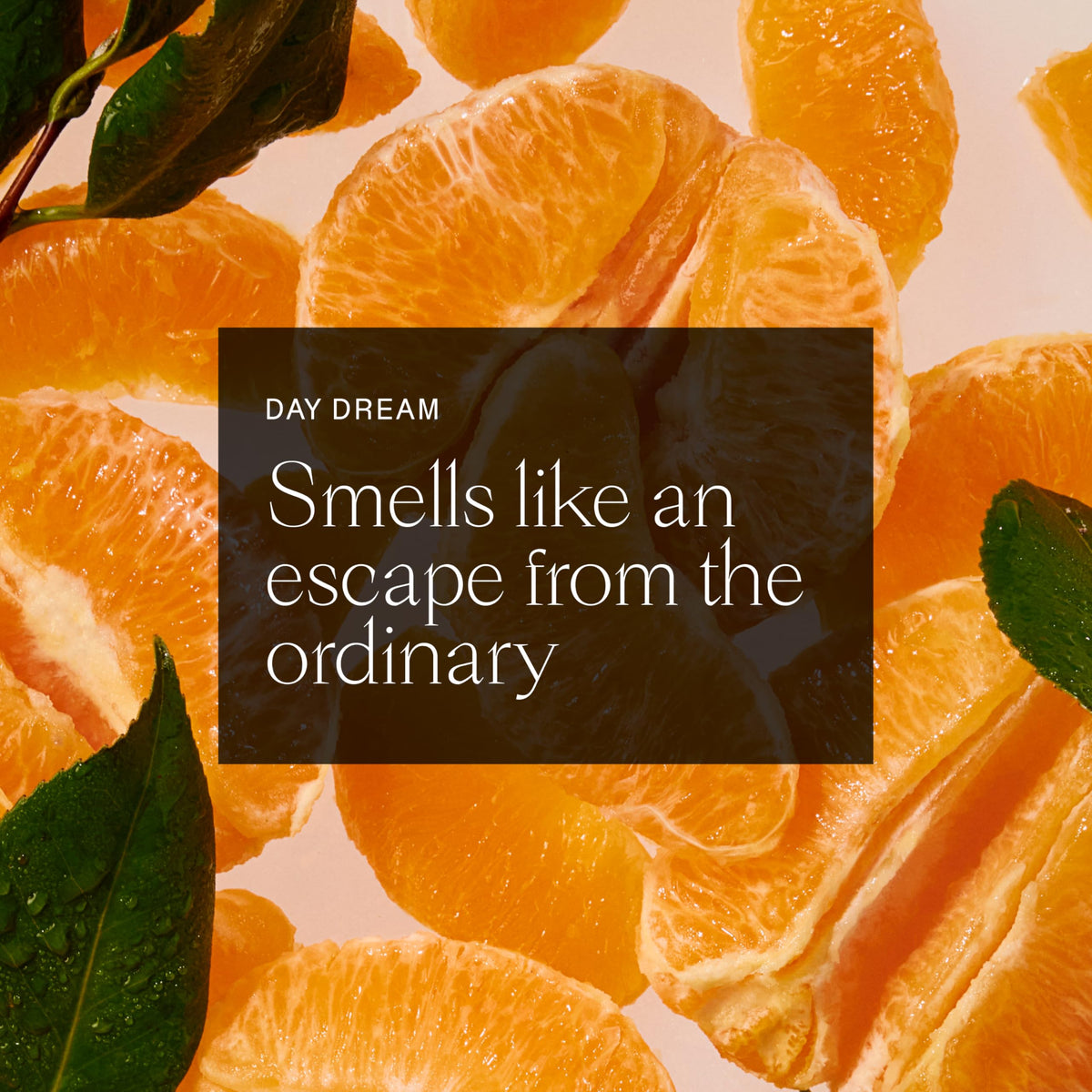 Each & Every label ingredients list highlighting EWG verified clean formula