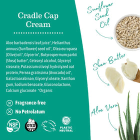 Earth Mama cream applied to baby scalp demonstrating softening of flakes