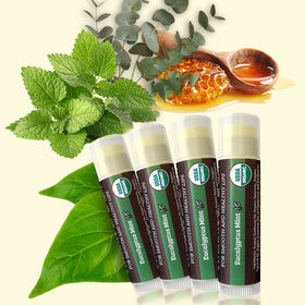 Earth's Daughter four tubes arranged as a gift pack, convenient multi-pack