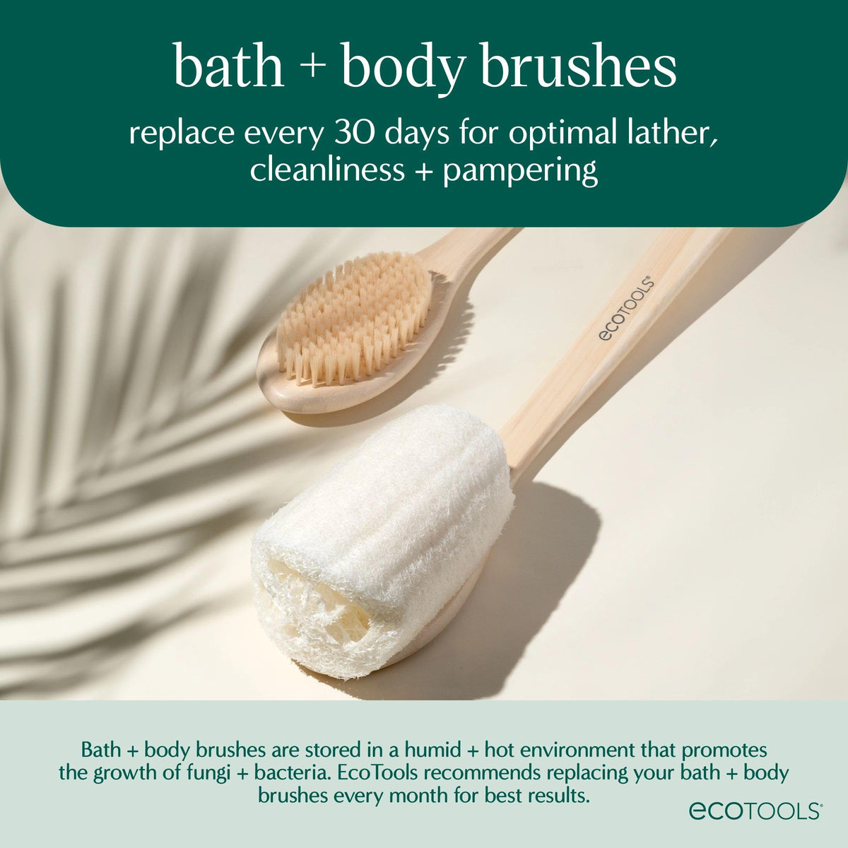 EcoTools packaging with FSC paper showing sustainable packaging benefit