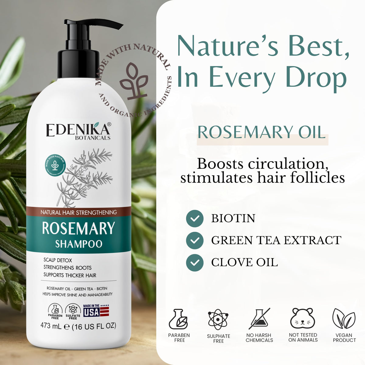 EDENIKA BOTANICALS rosemary sprig ingredient closeup highlighting botanical benefits