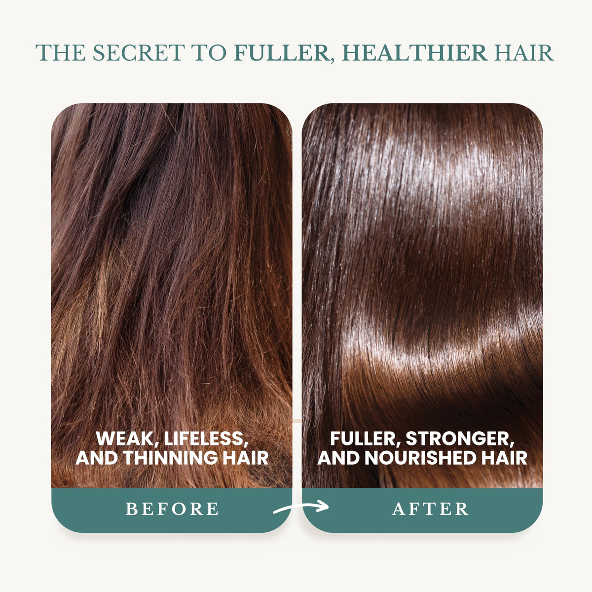 EDENIKA BOTANICALS shampoo lather texture demonstrating gentle foam