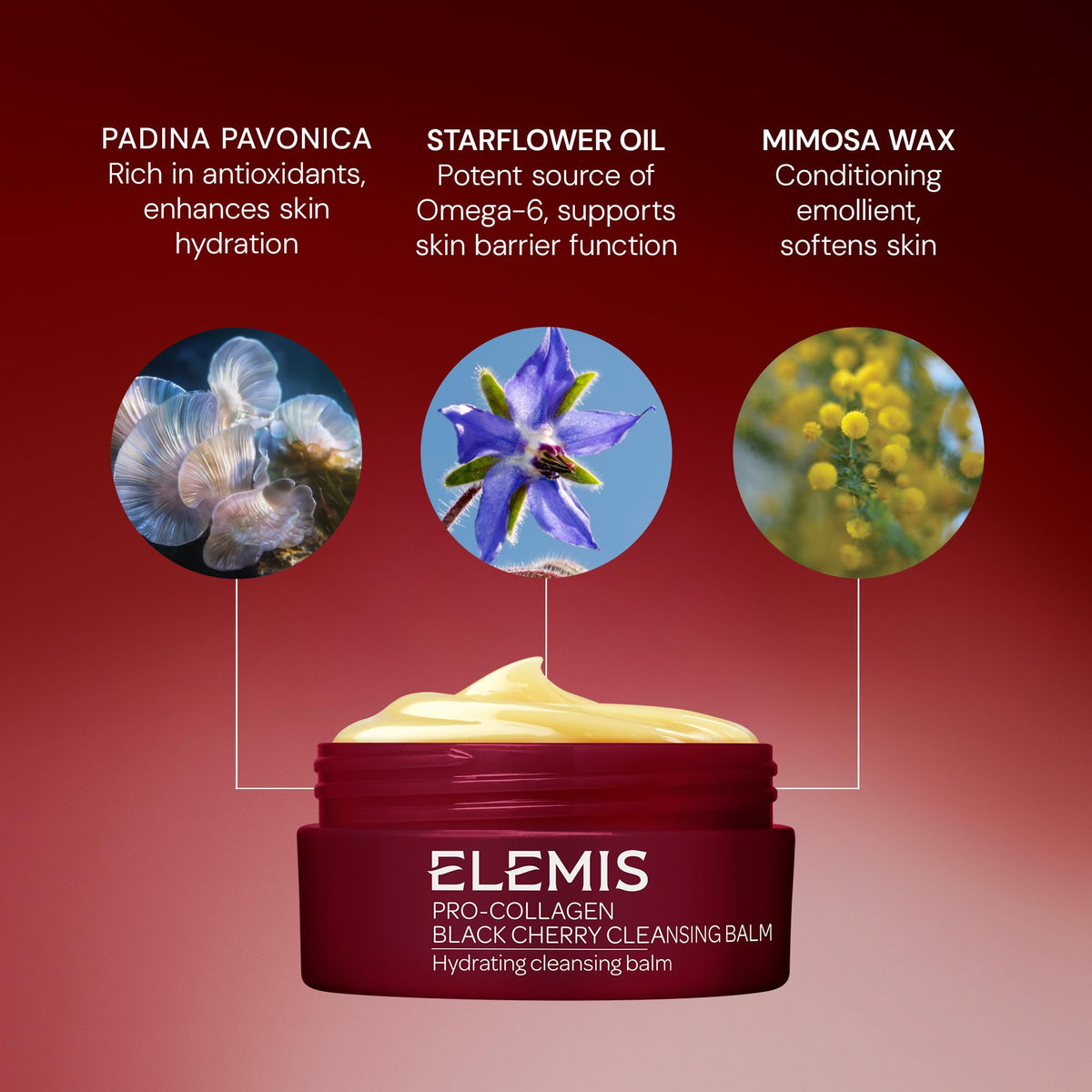 ELEMIS ingredient shot with elderberry and oils benefit: antioxidant-rich nourishment