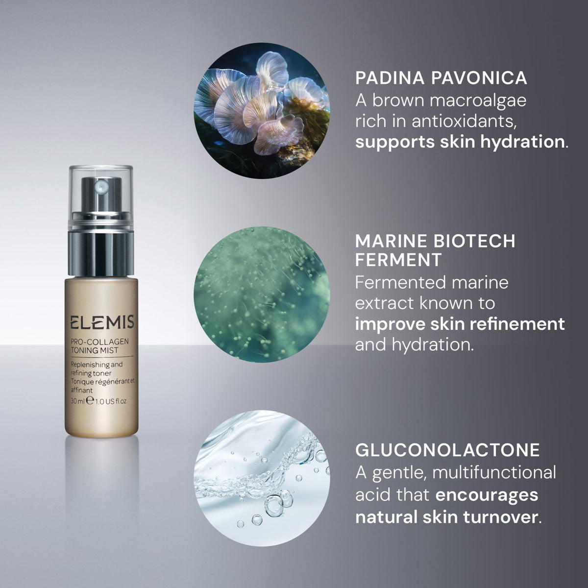 ELEMIS ingredient shot of padina pavonica algae highlighting hydration and antioxidant support