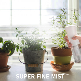 ELEMSY misting a fern to hydrate leaves evenly and reach undersides without runoff