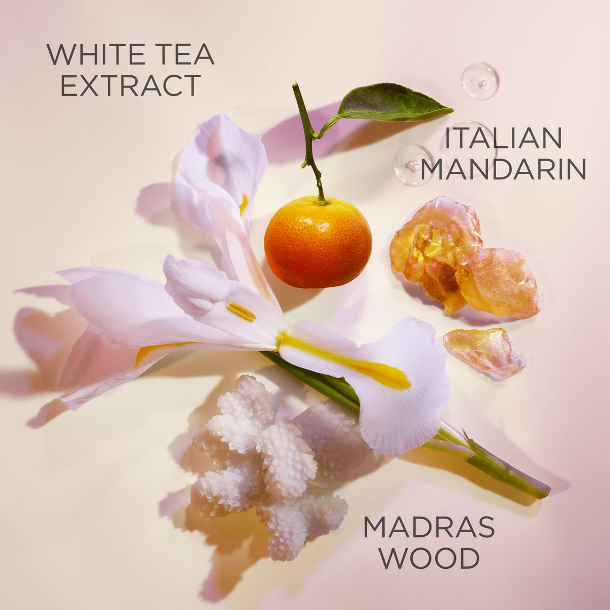 Elizabeth Arden White Tea cream texture closeup illustrating smooth application benefit