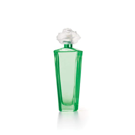 Elizabeth Taylor spray nozzle close-up capturing fine mist for even, long-lasting application