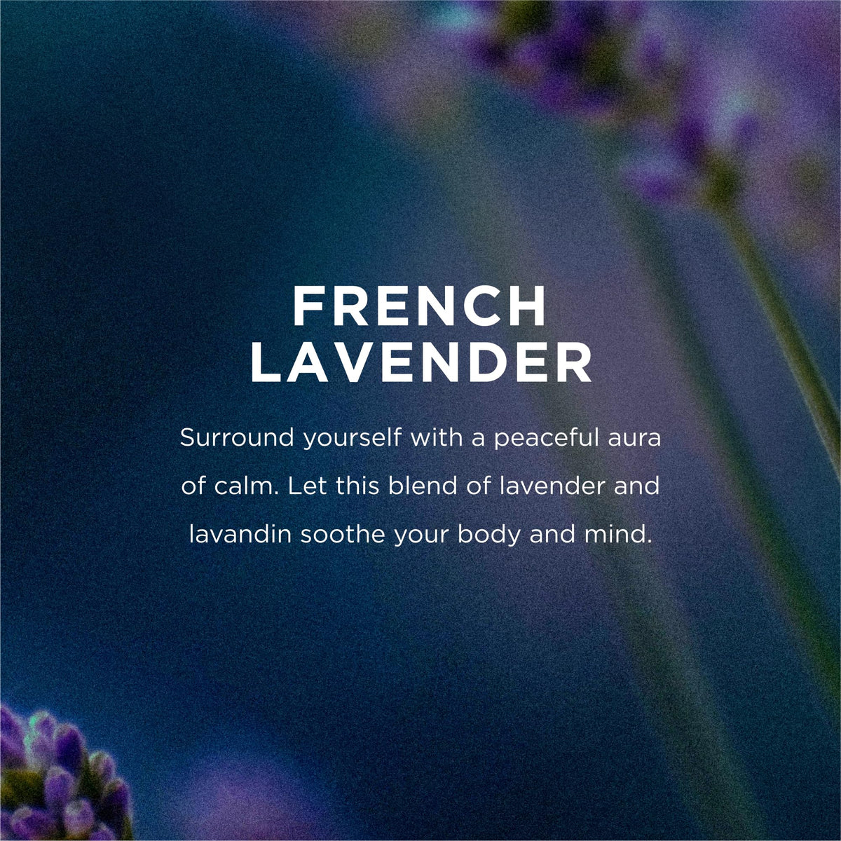 EO individually wrapped wipe out of its sleeve for convenient single-use freshness