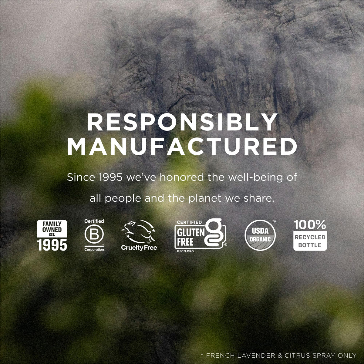 EO label close-up listing essential oils and organic ingredients for ingredient transparency