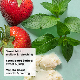 eos vanilla bean balm close-up highlighting creamy texture and soothing benefit