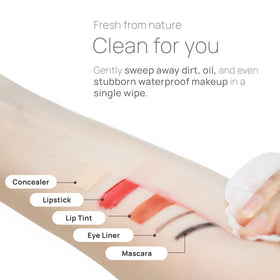 Hand holding Epielle 30-wipe pack illustrating compact size and travel convenience