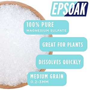 Hand holding Epsoak bag for size comparison showing 5 lb capacity benefit