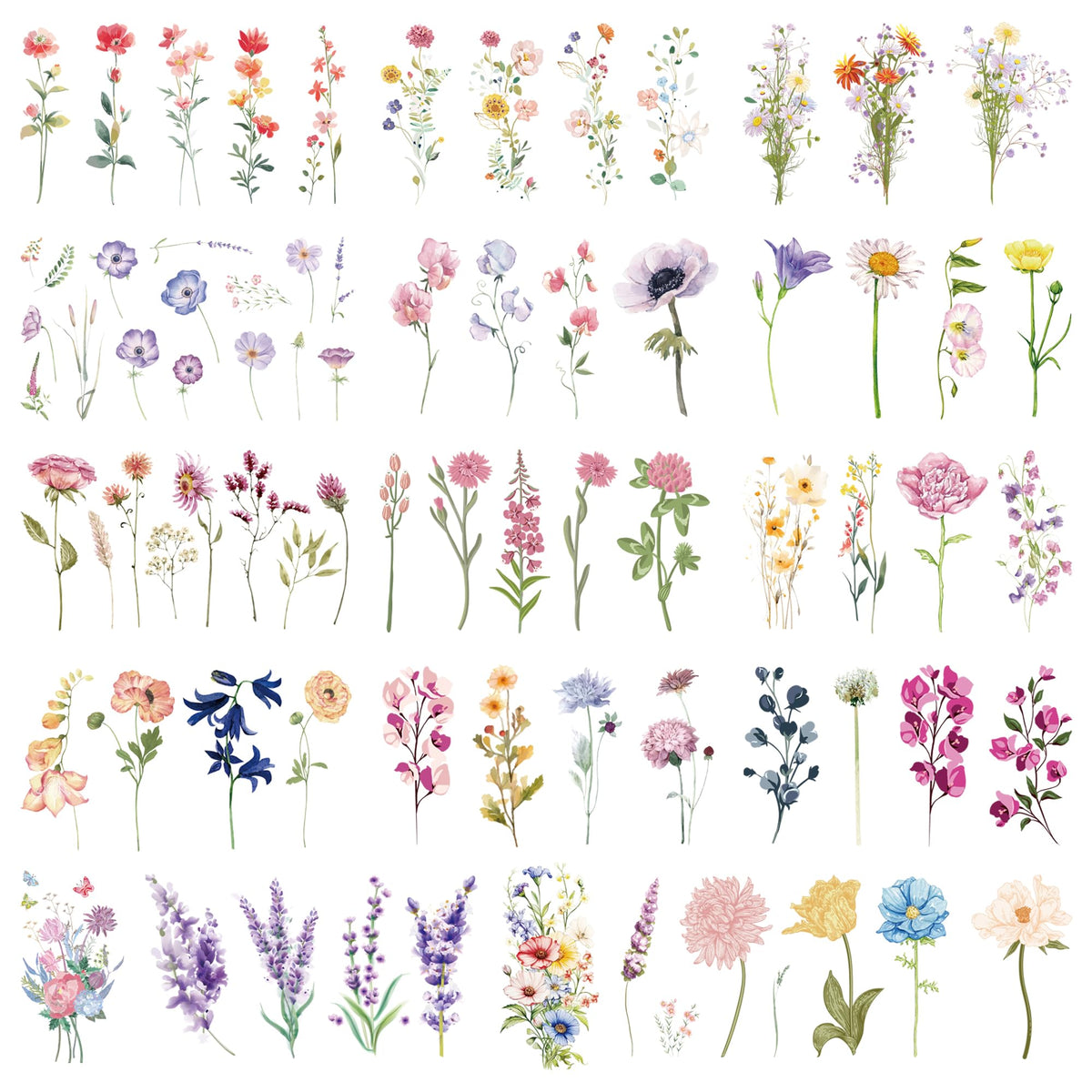 Epuxiael front packaging showing floral tattoo sheets and variety benefit
