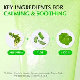 EQQUALBERRY small dot of serum on hand illustrating quick absorbency and non-sticky finish