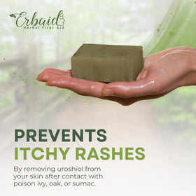 Erbaid soap lathered in hand demonstrating quick oil removal benefit