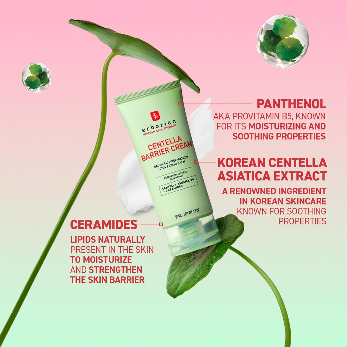 Erborian cream texture close-up highlighting rich smooth consistency and hydration
