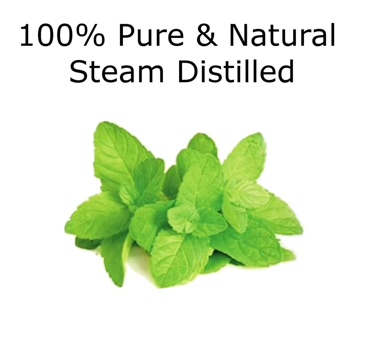 Essentially KateS bottle on countertop with cleaning spray and cloth, natural fresh scent benefit