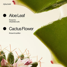 EVA·NYC close-up of aloe and cactus flower, showing hydration and softening benefits