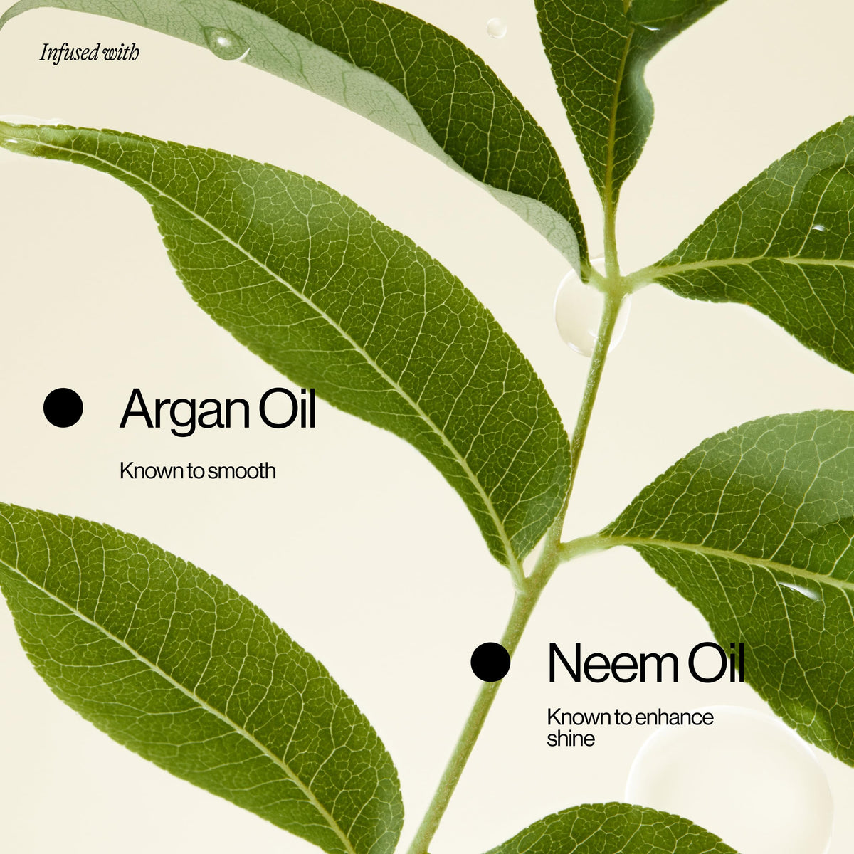 EVA·NYC product label and ingredients panel highlighting responsible sourcing