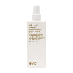 EVO Salty Dog front bottle view showing matte volumizing spray