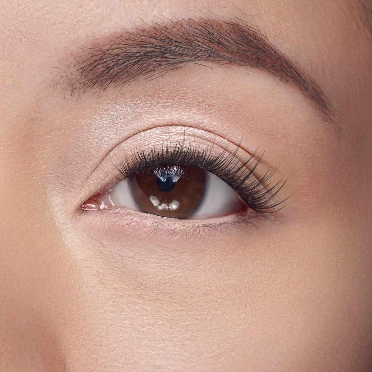 FALSCARA close-up of wisp texture highlighting soft fibers for seamless blend