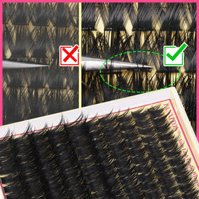 FANXITON application in progress showing quick placement benefit