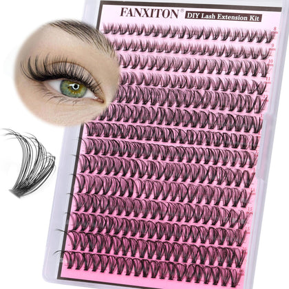 FANXITON front tray showing 280 mixed-length lash clusters for versatile styling