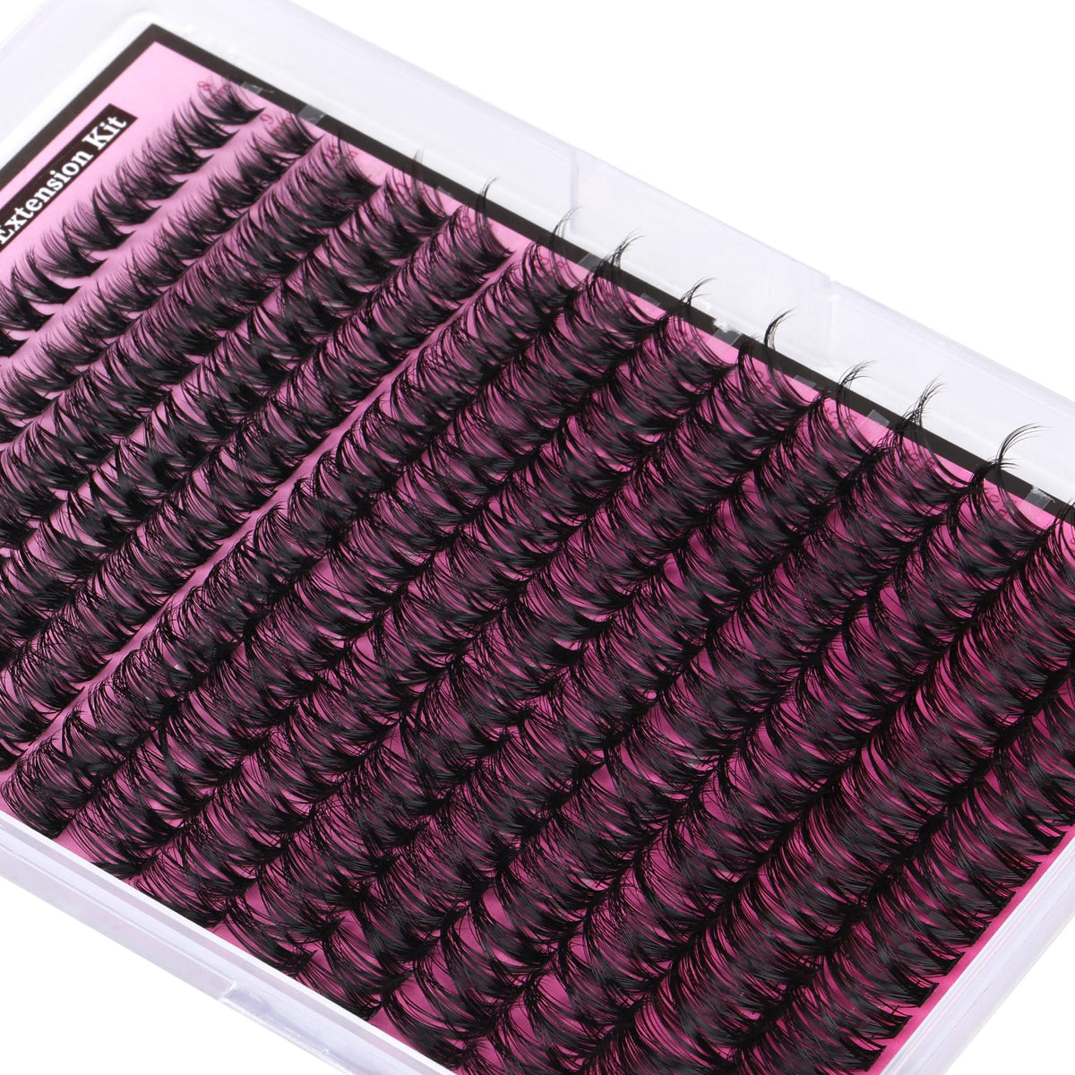 FANXITON packaging with tray organized for easy access and long-term storage