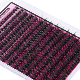FANXITON packaging with tray organized for easy access and long-term storage