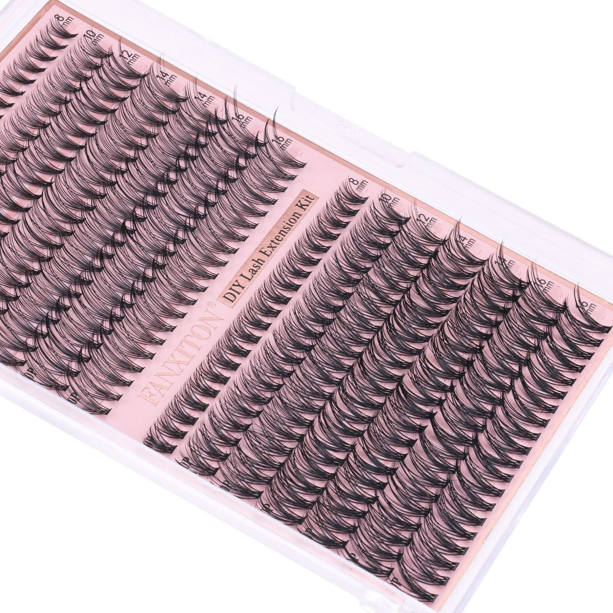 FANXITON reusable cluster storage case showing organized preservation benefit