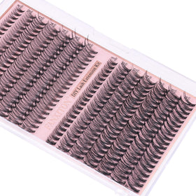 FANXITON reusable cluster storage case showing organized preservation benefit