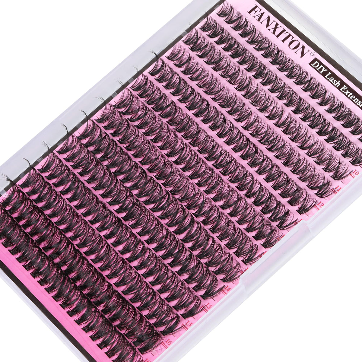 FANXITON tray in hand to show scale and number of 280 clusters