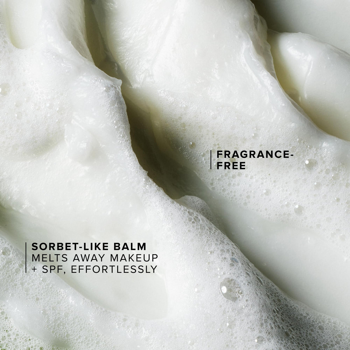 Farmacy Green Clean moringa ingredient close-up for antioxidant support