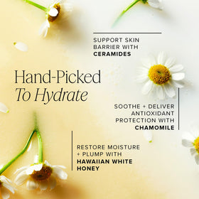 Farmacy honeycomb close-up illustrating honey ingredient and soothing hydration