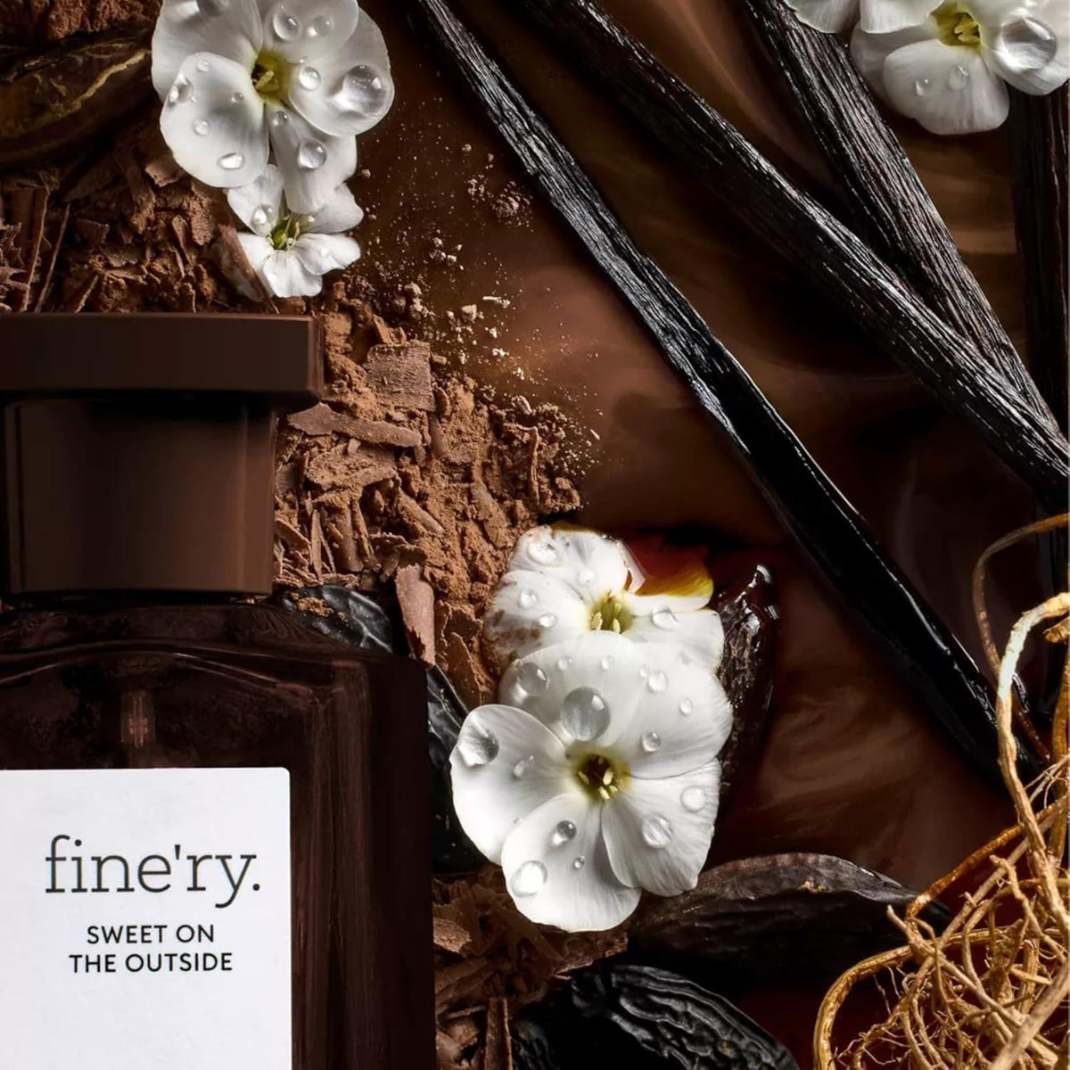 Fine'ry vanilla beans close-up emphasizing Madagascar vanilla richness